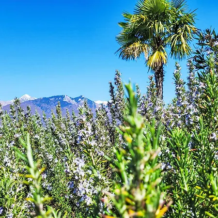 Bella Vista - Eg By Interhome