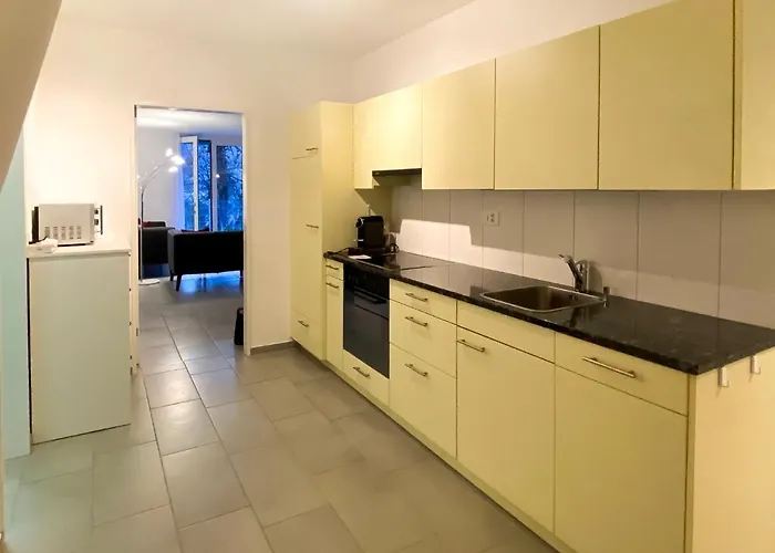 Bella Vista - Eg By Interhome Lejlighed Gambarogno