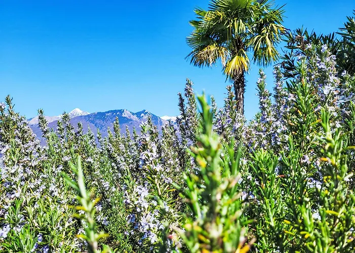 Bella Vista - Eg By Interhome